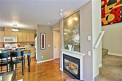 Gas Fireplace