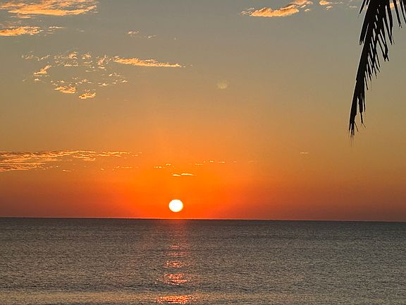 Beach steps away from this apartment