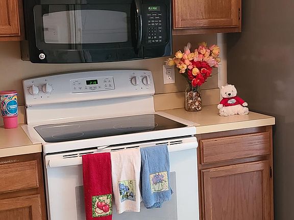 Kitchen, Stove, Microwave 
(cute bear and flowers not included :-)