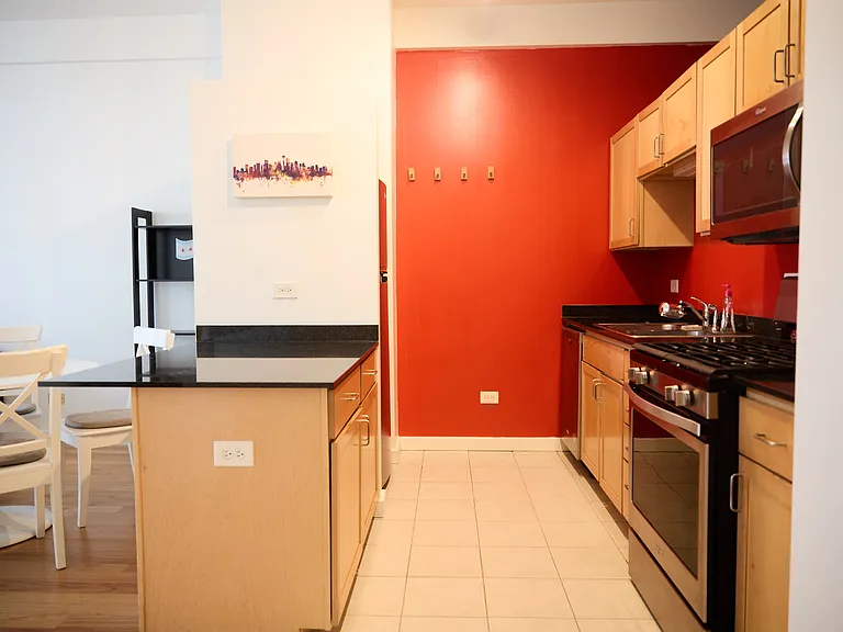 5 N Wabash Ave #1303 — Photo 11