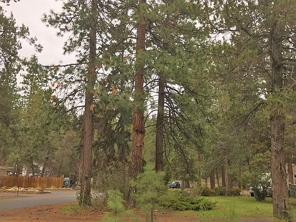 3rd image of 20034 Alderwood Cir