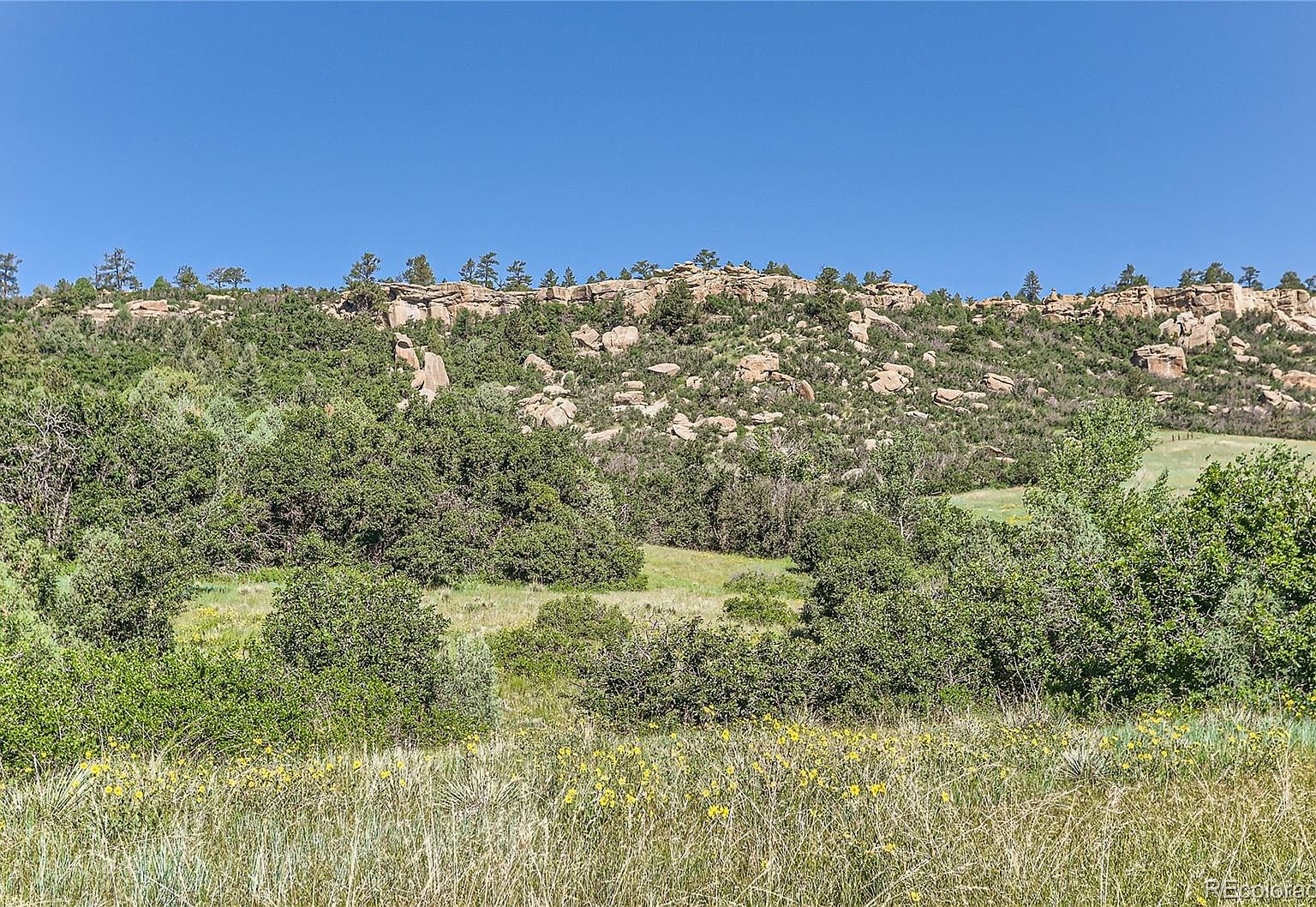 0 Willow Lake Drive Lot 1, Franktown, CO 80116 MLS 3944183 Zillow