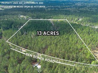 225 Ben Sones Rd, Lumberton, MS 39455