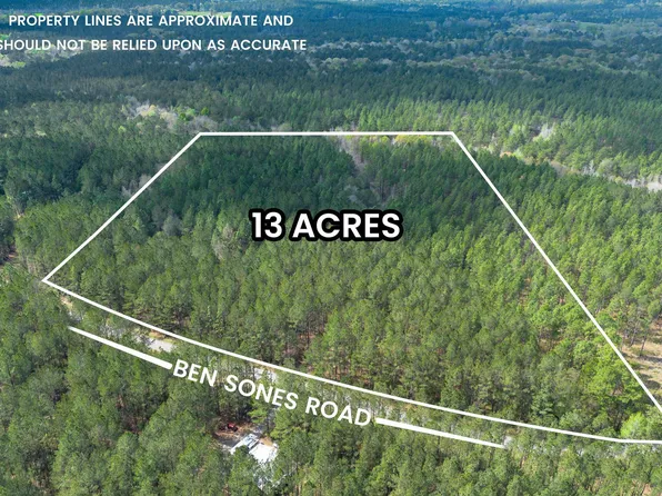 225 Ben Sones Rd, Lumberton, MS 39455