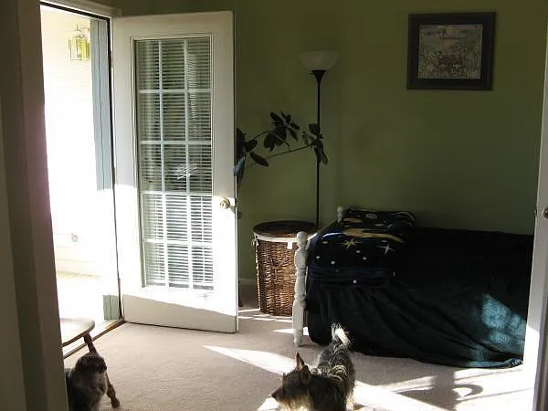 2828 Silverplume Dr #Q3 — Photo 12
