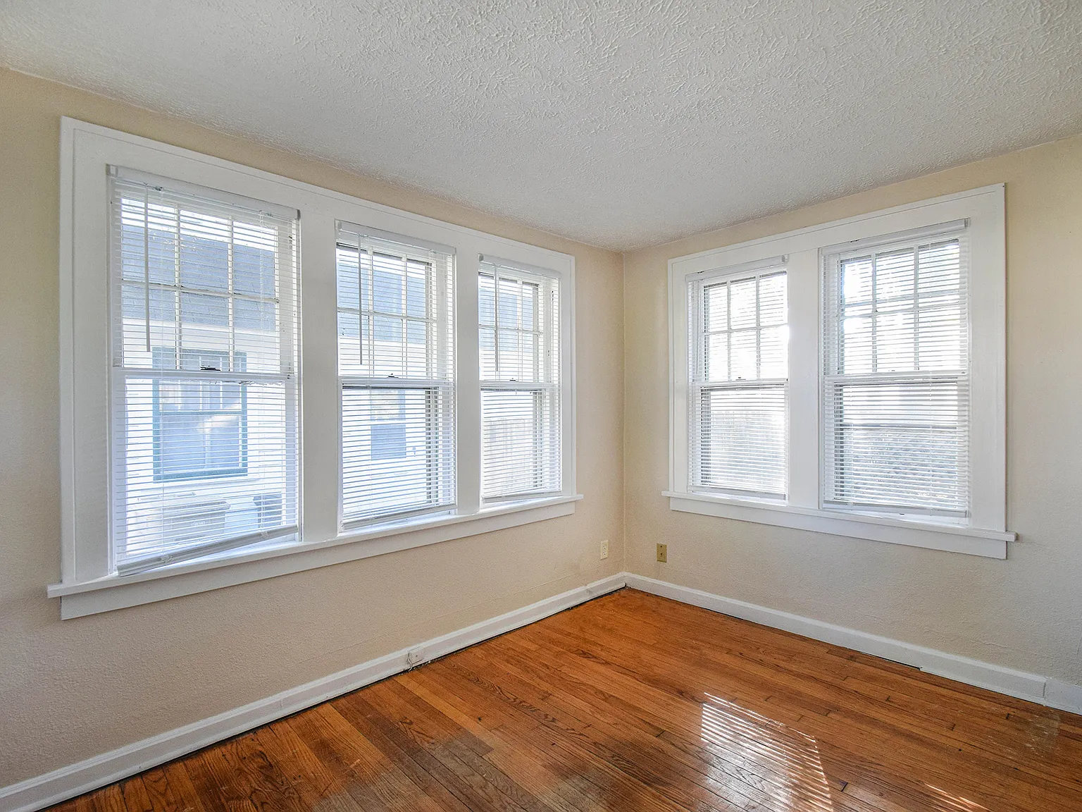 Lots of Space! — Photo 4