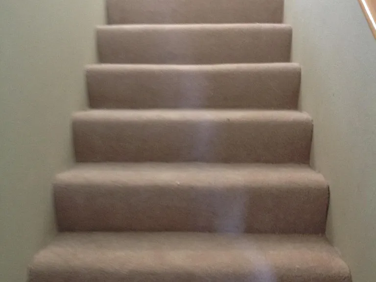 newly replaced stairs carpet