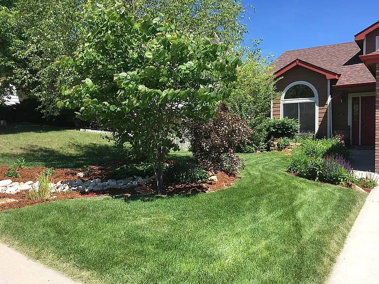 318 Dunne Dr — Photo 1