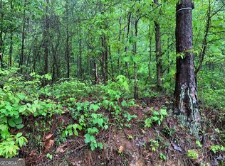 530 Skyline Dr, Rockmart, GA 30153