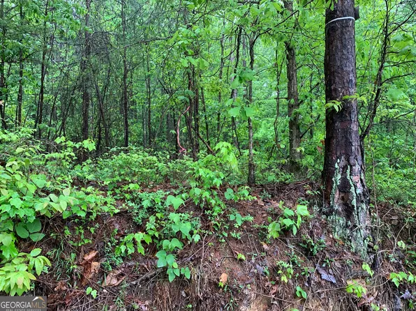530 Skyline Dr, Rockmart, GA 30153
