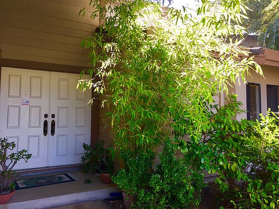 3rd image of 7415 Windbridge Dr