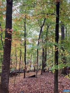 42 Dogwood Ln, Nellysford, VA, 22958