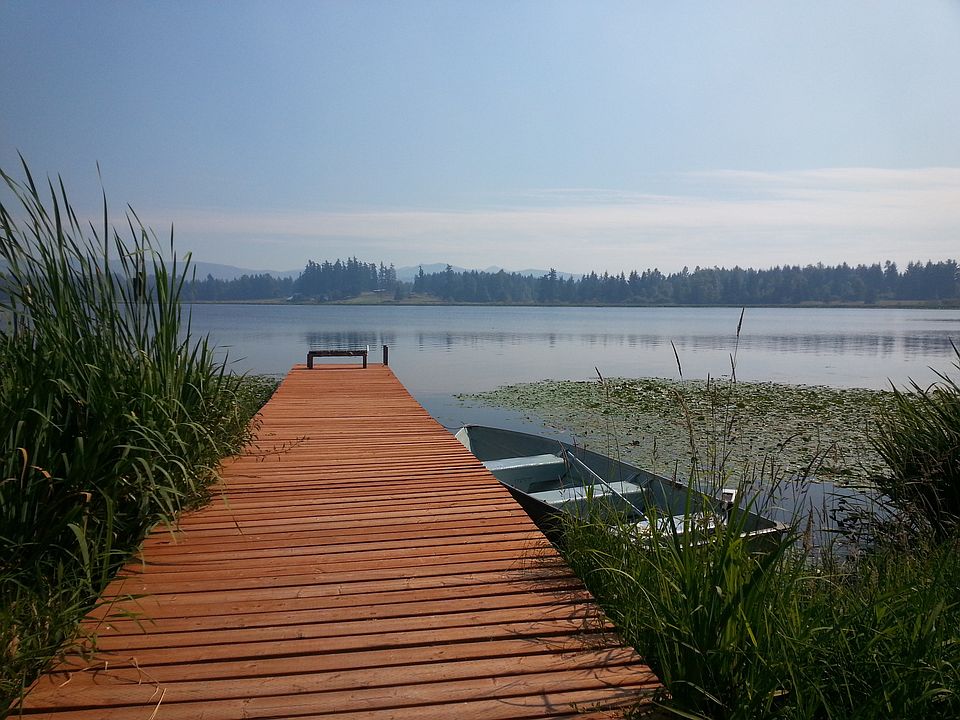Lake front property, shared dock