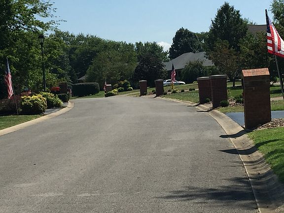 Flags line our street!