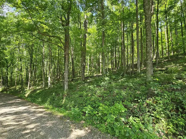 Cole Rd, Philippi, WV 26416