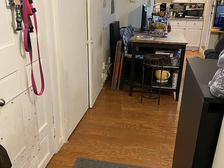 105 Chestnut St #1B — Photo 8