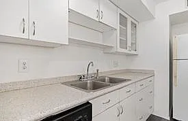 4159 Steck Ave #235 — Photo 11