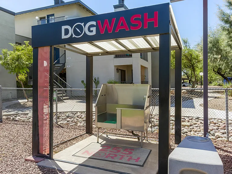 Dog Wash