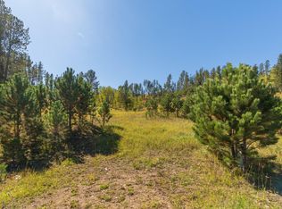 11781 Bear Mountain Dr, Custer, SD 57730