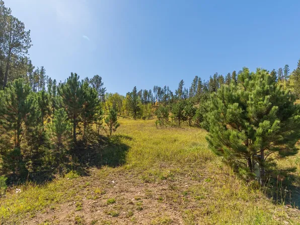 11781 Bear Mountain Dr, Custer, SD 57730