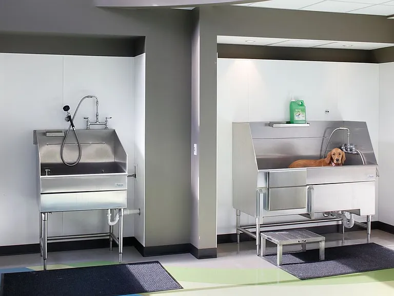 WAG Pet Spa