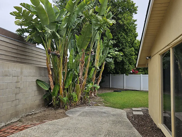 Backyard Patio