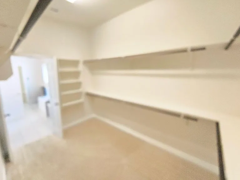 3367 Vineyard Trl — Photo 8