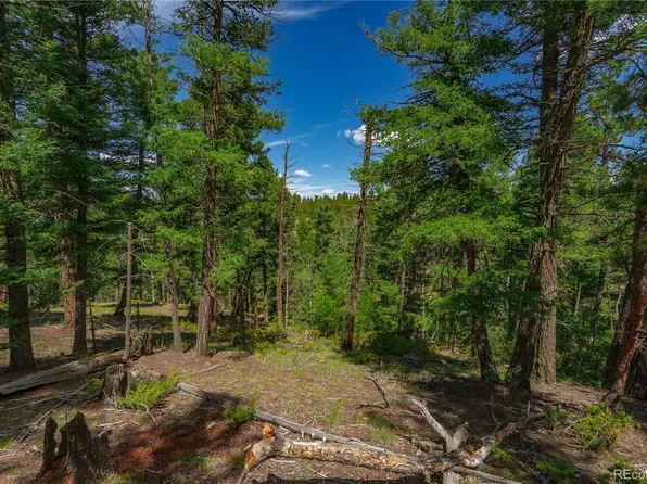384 Insmont Lane, Florissant, CO 80816