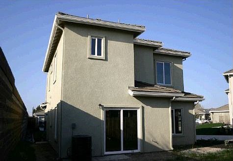 Back view