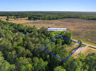 TBD Lot 3 Pee Dee Hwy., Conway, SC 29527