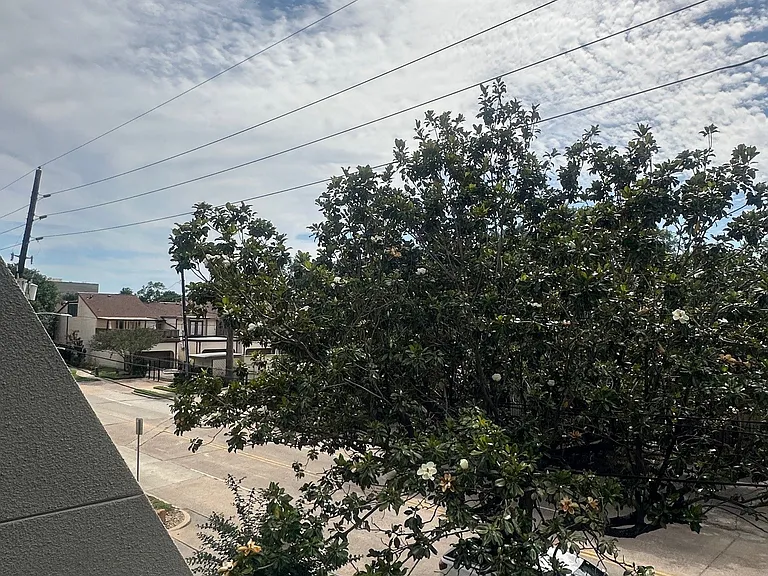 Augusta Court Apartments — Photo 29