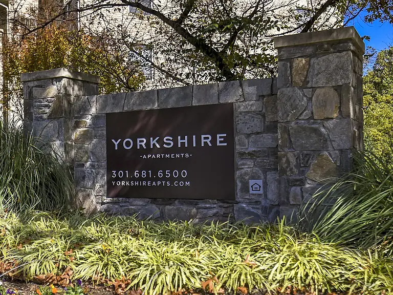 Yorkshire — Photo 2