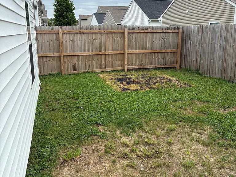 1431 Wigwam Ln — Photo 19