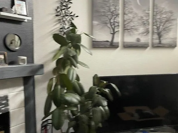 6405 Jonathon Ct, Colorado Springs, CO 80918