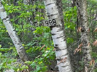 988 Peabody Pond Rd, Sebago, ME 04029