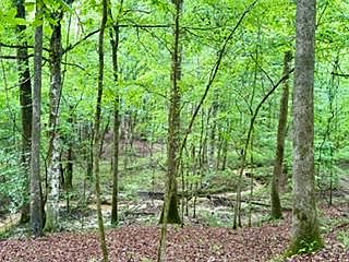 1st image of 0 County Road 265