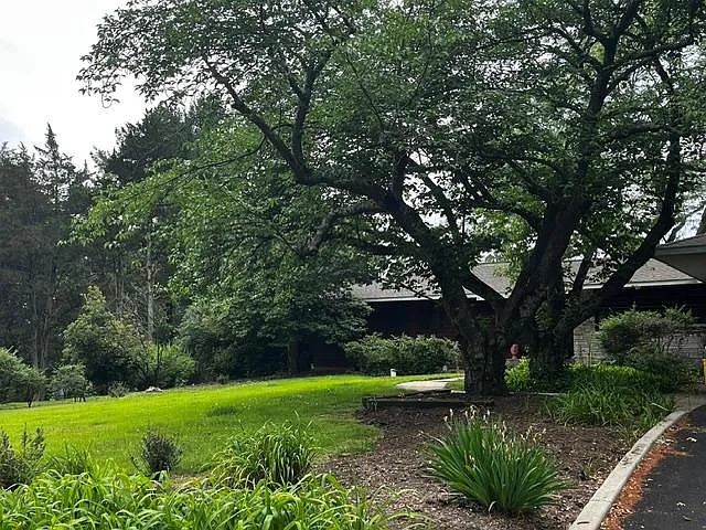 3 bed, 2300 sqft, $3,600 — Photo 2