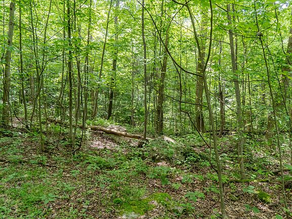 4th image of 0 Pressley Ridge Rd