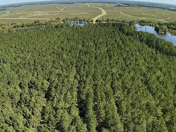 Dji Fly 20260916 111626 0901 1789581003569 Photo