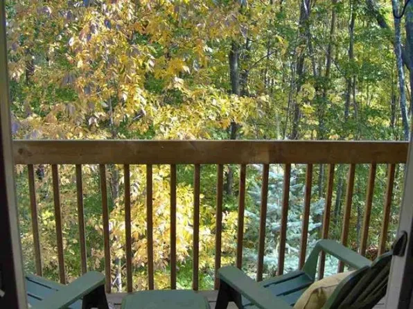 2051 Woods Ln Unit 27, Petoskey, MI 49770