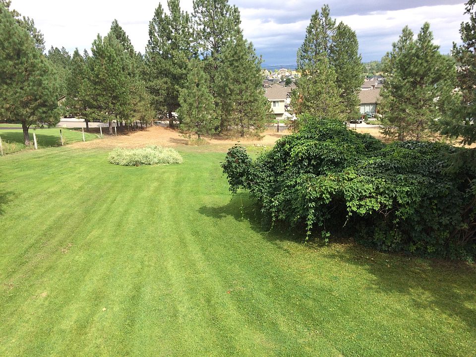 From Back Deck