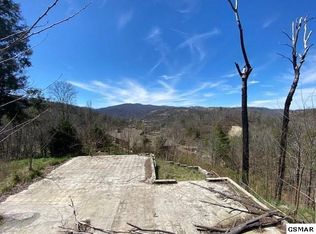 261 Browns Ridge Rd, Gatlinburg, TN 37738