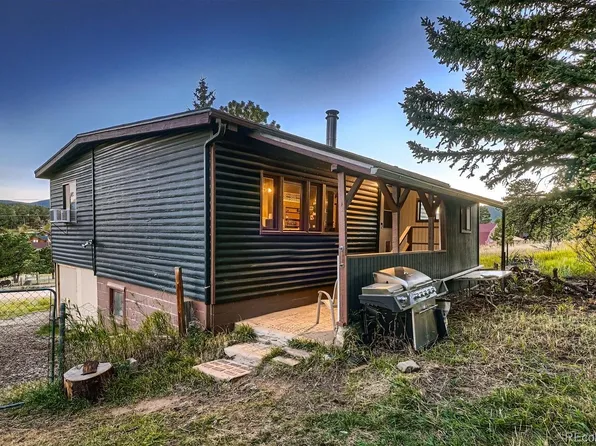 43 Homestead Road, Bailey, CO 80421