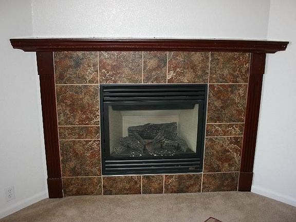 Gas-Log Fireplace