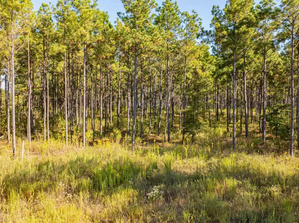 Waldrons Ferry Rd #4, Hallsville, TX 75650