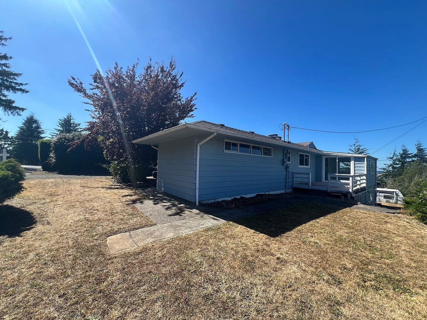 Fir Duplex — Photo 2