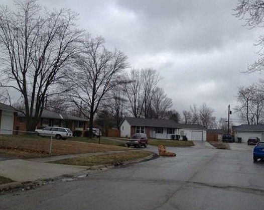 5th image of 1444 Chelmsford Ct