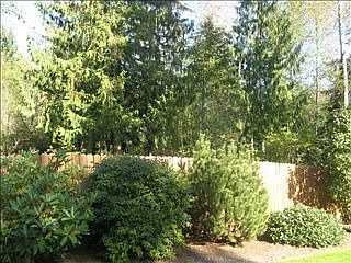 4th image of 11601 212th Avenue Ct E