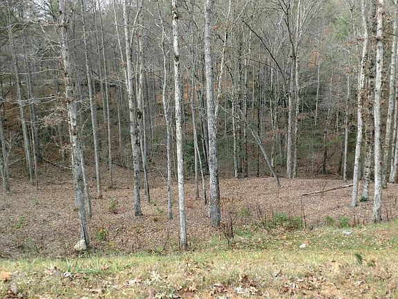 4th image of LOT 116 Jakes Landing Way