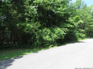 Mount Valley Rd, Olive, NY 12412